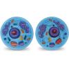 Learning Resources Cross-Section Animal Cell Model – STEM Biology Gifts, Molecular Science Activities , Microbiology ,Classroom and Teacher Must Haves, Homeschool Materials, Model Kit Tools