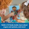 Learning Resources Skill Builders! Human Body Activity Set,17 Pieces, Ages 4+, Preschool Learning Activities, Preschool Science, Preschool Activity Book,Human Body Parts for Kids(Human Body)