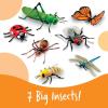 Learning Resources Jumbo Insects – Animal Toys for Kids, Toddler Preschool Science, Fine Motor Skills, Gifts for Boys and Girls, Ages 3+(Modern)