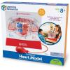 Learning Resources Pumping Heart Model – Science Classroom Must Haves, STEM Student Essentials, Practice Anatomy, Cardiology Artery and Veins Study Tools, Back to School Supplies for Teachers