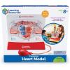 Learning Resources Pumping Heart Model – Science Classroom Must Haves, STEM Student Essentials, Practice Anatomy, Cardiology Artery and Veins Study Tools, Back to School Supplies for Teachers
