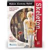 Learning Resources Skeleton Model, Science Classroom Must Haves, STEM Student Essentials, Practice Anatomy, Back to School Supplies for Teachers