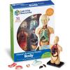 Learning Resources Human Body Model, 31 Pieces, Grades 3+, Ages 8+, Science Classroom Demonstration Tools, Realistic Human Anatomy Display