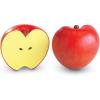 Learning Resources Magnetic Apple Fractions, Montessori Toys, Math Games, Play Food for Kids, Set of 10, Ages 5+