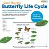 Learning Resources Giant Magnetic Butterfly Life Cycle – Write-and-Wipe Teaching Aids and STEM Decor, Butterfly Life Cycle Models, Dry Erase Accessories for Homeschool or Classroom