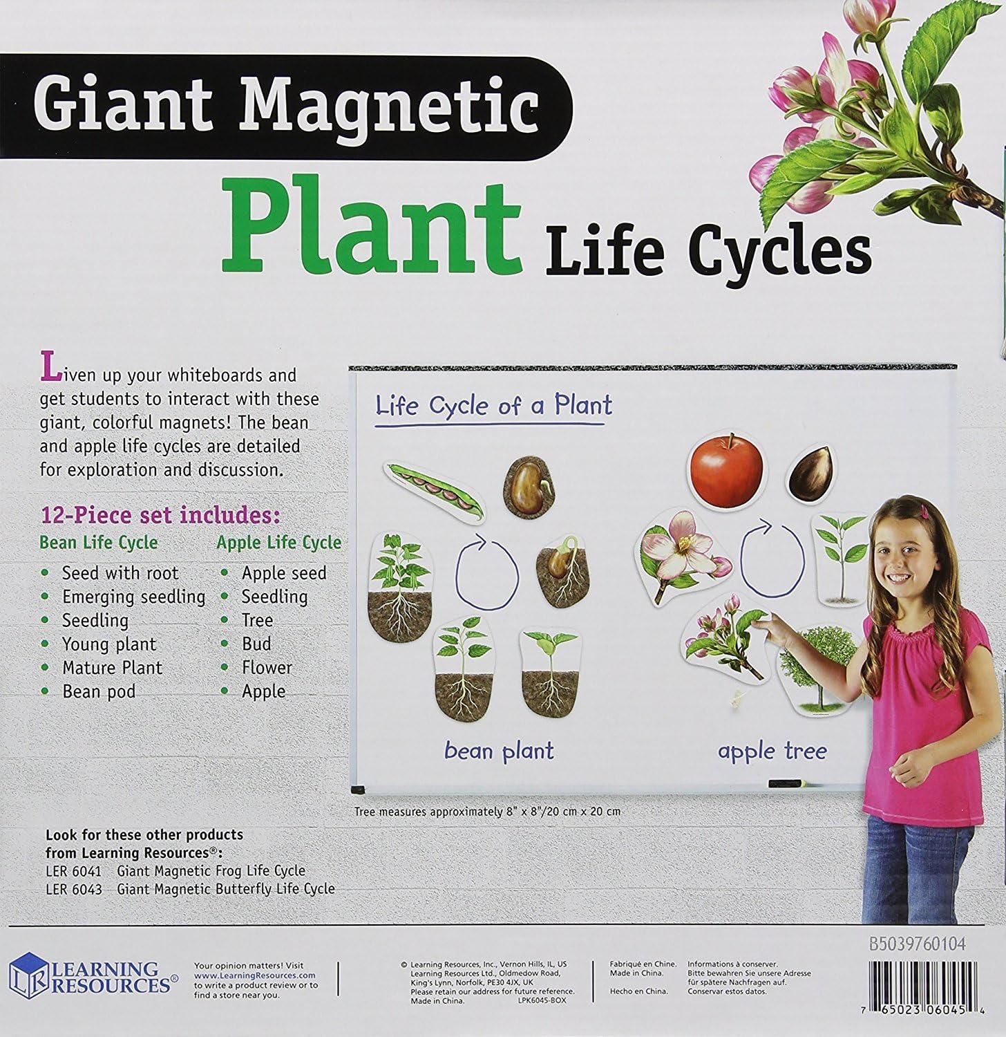 image:imageLearning Resources Giant Magnetic Plant Life Cycle STEM Growing Seed Montessori Tree Biology Cards Classroom Teacher Must Haves Activities Science Homeschool Essentials Gifts for Students Kids