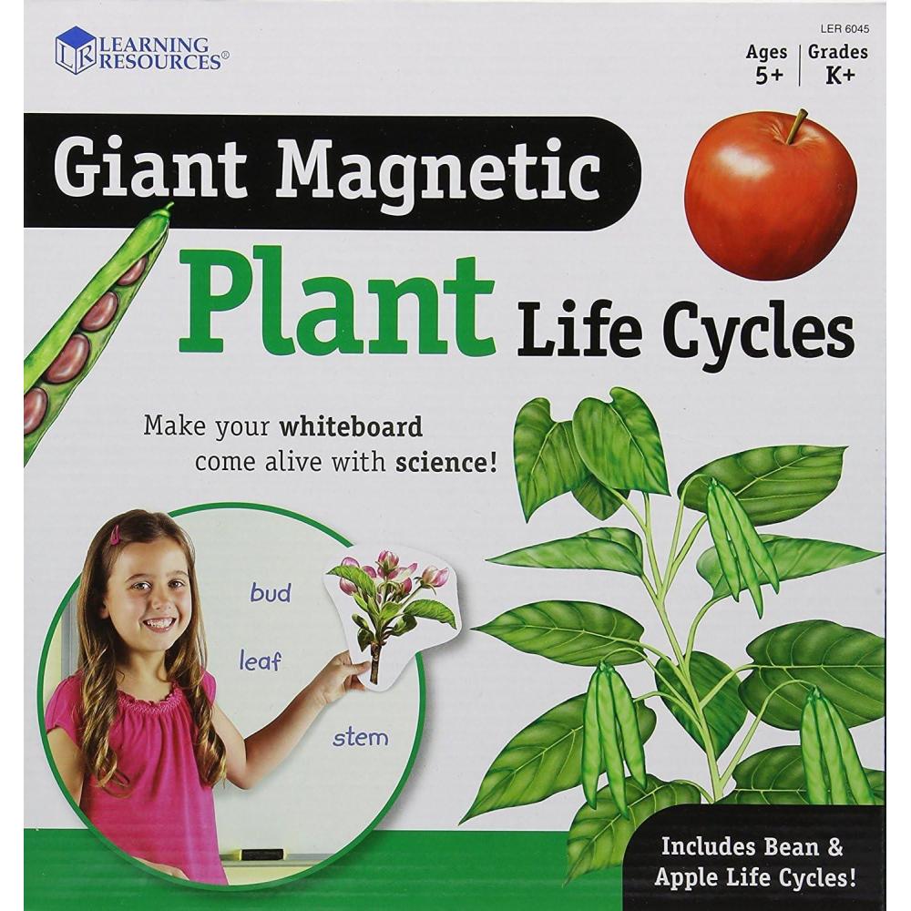 image:imageLearning Resources Giant Magnetic Plant Life Cycle STEM Growing Seed Montessori Tree Biology Cards Classroom Teacher Must Haves Activities Science Homeschool Essentials Gifts for Students Kids
