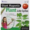 Learning Resources Giant Magnetic Plant Life Cycle – STEM Growing Seed, Montessori Tree , Biology Cards, Classroom Teacher Must Haves Activities, Science Homeschool Essentials, Gifts for Students, Kids