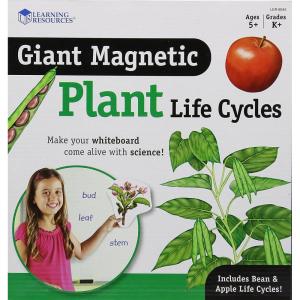 Learning Resources Giant Magnetic Plant Life Cycle – STEM Growing Seed, Montessori Tree , Biology Cards, Classroom Teacher Must Haves Activities, Science Homeschool Essentials, Gifts for Students, Kids