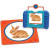 Learning Resources See & Snap Snapshot Scavenger Hunt Matching Game, Gross Motor Skills Toddler Toy, 46 Pieces, Outdoor Toys for Toddlers, 18 Months +(25.4 cm (H) x 5.1 cm (W) x 22.2 cm (L))