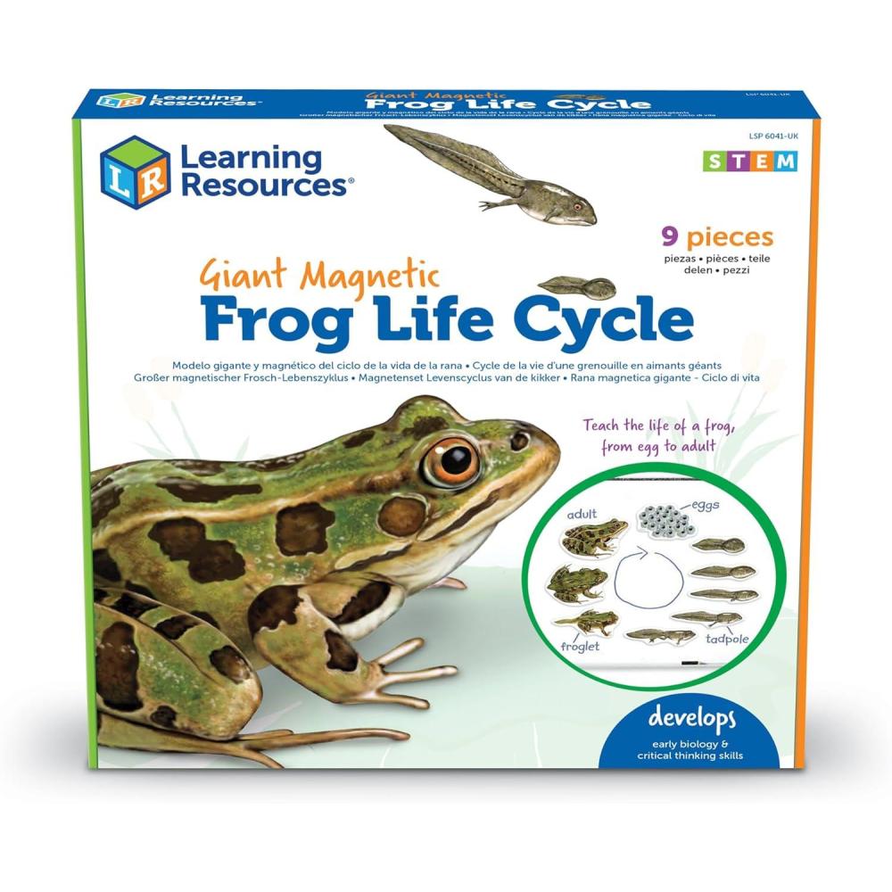 imageLearning Resources Cycle de Vie de la Grenouille Gant Magntique